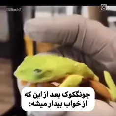 ولی چشماش🥴