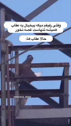 عقاب ها🤣🤣