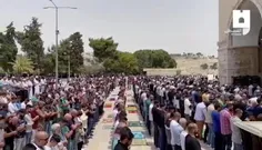 ☀️ برپایی نماز جماعت در صحن مسجد الاقصی با حضور چند ده هز