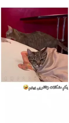 یکم مشکلات زناشویی رو ببینیم😂😂🤣