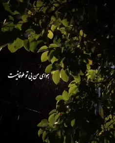 🥀🍃 تلاش کن اندوهت را دوست بداری ...