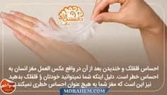 سلامت و تندرستی ma98ha 23778517