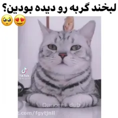 چقدر کیوت 😝😝😝😝



لایک یادت نره❤❤