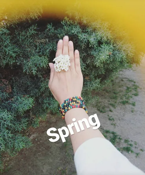 spring bashad fagt😉