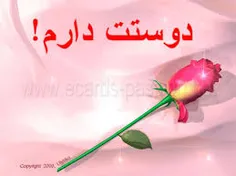 سلام شب همگیتون بخیروشادی.....