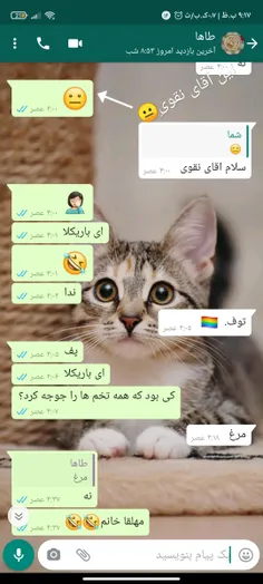 به این استیکر میگه آقای نقوی (😐😐😐)