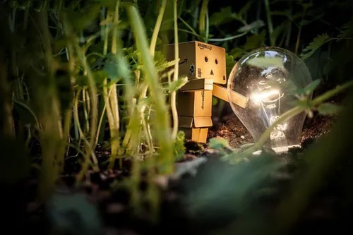 عروسک دانبو عروسک danbo