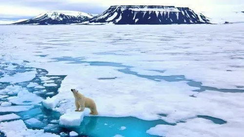 ✨ خدانگهدار قطب شمال