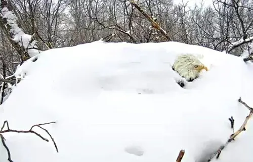 عشقِ نابِ مادری 😍