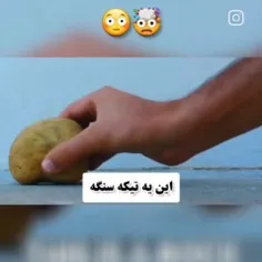 وای پشمام وای برگام❌