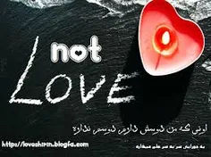 not love