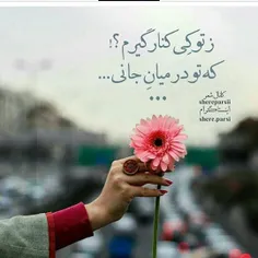 ز تــ❤ ــو کی کنار گیرم 