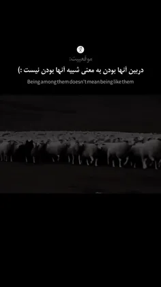 در بین انها بودن...                         
