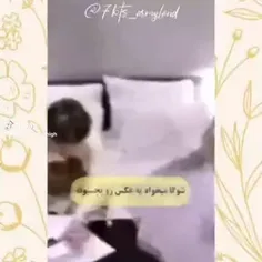 مای نیم ایز صبر ایوب😂