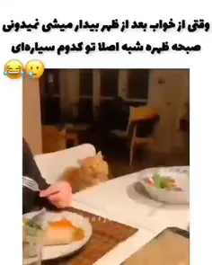 بعد از خواب ظهر😂🤣