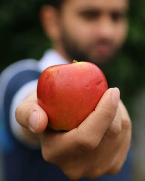 آدمیزاد است وُ عشق وُ دل به هر کاری زدن