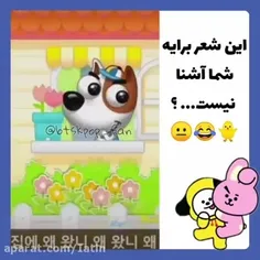 kim_hayon5687 66013904