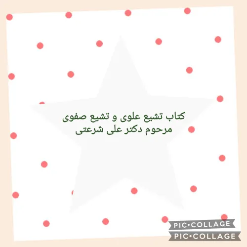 *شیعه ی علوی یعنی کسی که در راه علی و به میزانی که قدرت و