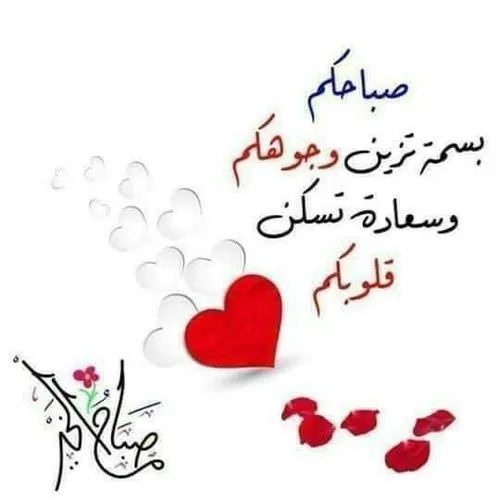 صباحنا .. انتم اولاً🌹