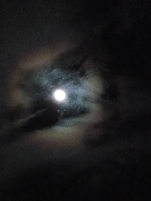 ماه تو آسمون رو ببینین چ خوشگله... همین الان گرفتم...
