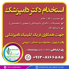 استخدام دکتر دامپزشک در یک کلینیک دامپزشکی در تهران