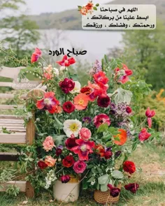 صباح الخیر 🌹🌹