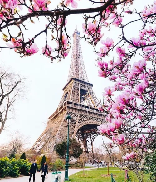 Spring in Paris