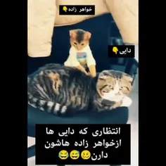 حق😂