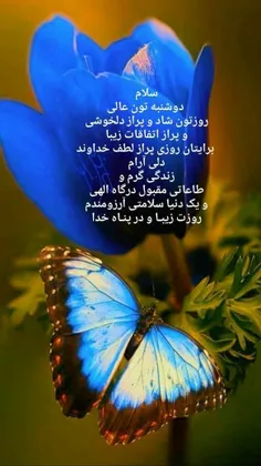 💙بسم الله الرحمن الرحیم💙