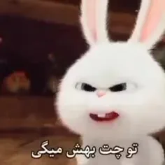 دیگه دیوونه ک باشی همینه😐🤣🤣🥺