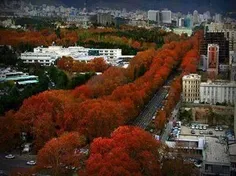 خیابان ولیعصر تهران در پاییز