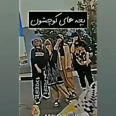 فرق و نگاه حاجی