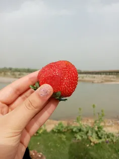 تودࢪپناهِ‌خدایی‌وخداهࢪگزכیࢪنمیکنہ! 🌿