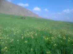 ایلام