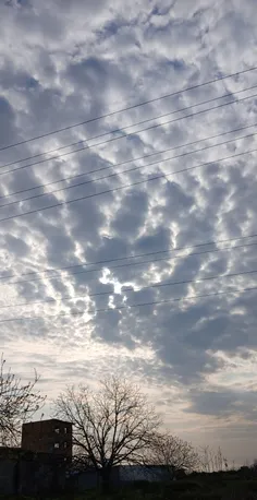 ولی آب و هوای شمال...