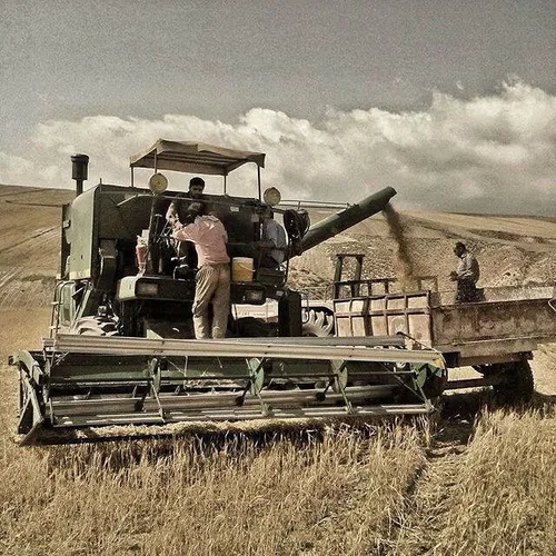 Farmers at harvest time. Korang, Semnan, Iran. Photo by J
