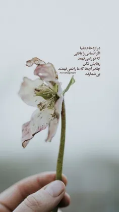 #دلنوشته#بهاره🌸