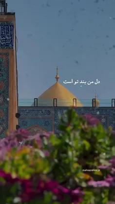 که عاشق را کمی باده بسی دیوانه میسازد...