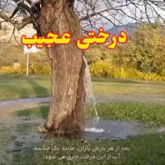 شگفتی آفرینش. 👌🏻👌🏻