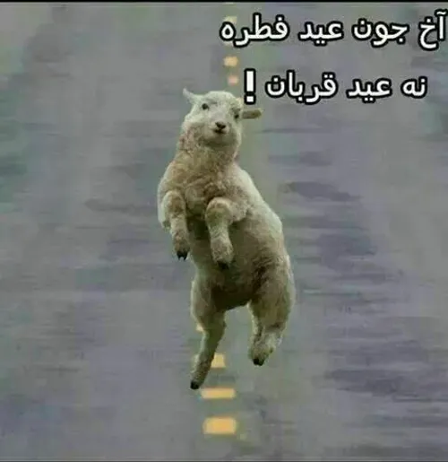 گولش زدن بیچاره.....