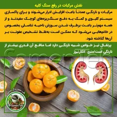 🍊نقش مرکبات در رفع #سنگ_کلیه