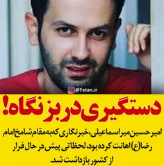 🚩 خبرنگار هتاک به امام رضا(ع) بازداشت شد