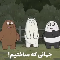 خرس های کله فندقی🐻‍❄️🐼🐻