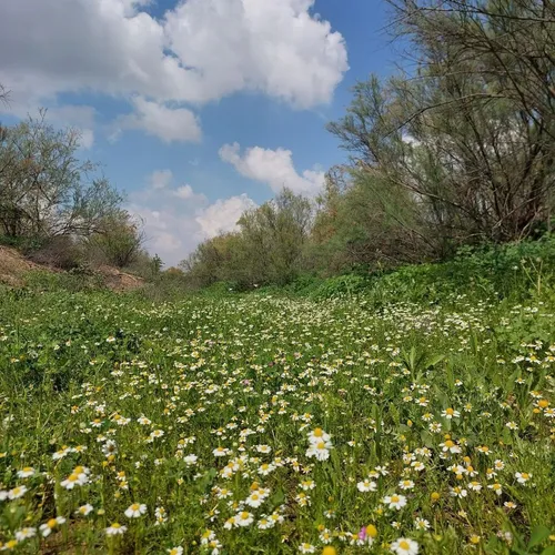 اردیـبـهشـــت ،