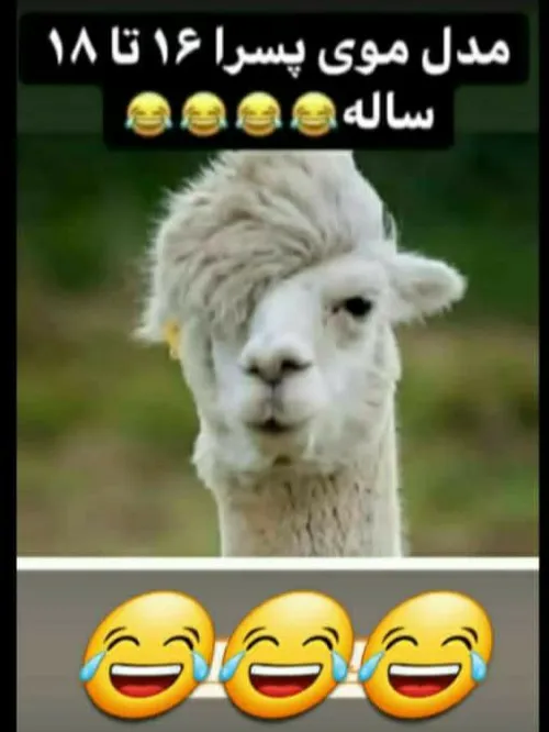 دقیقا همینه 😝😝👊🏽 لعنتی های جذاب