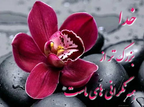 🍃 🌺 سرانجام روزی بہ حڪمت همہ