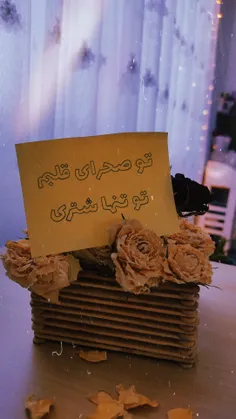 تو صحرای قلبم :) 