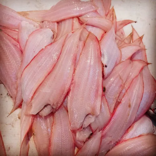 ماهی محبوب خوزستانی ها،ماهی زبان،، برای سرخ کردنی،بسیار خ