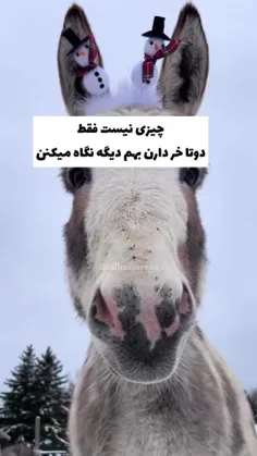 بعله بعله😂😂