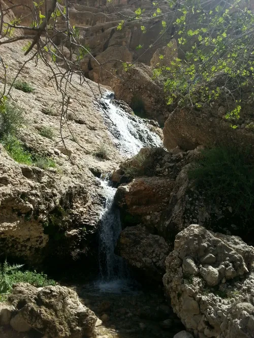 همی الان تو کوه هسم جای همه سبزه